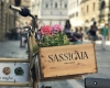 From traveler's perspective: Florence from the Street